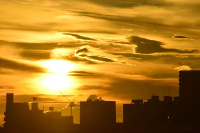 DSC_3812 (Large).JPG